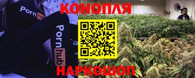 jwh Партизанск